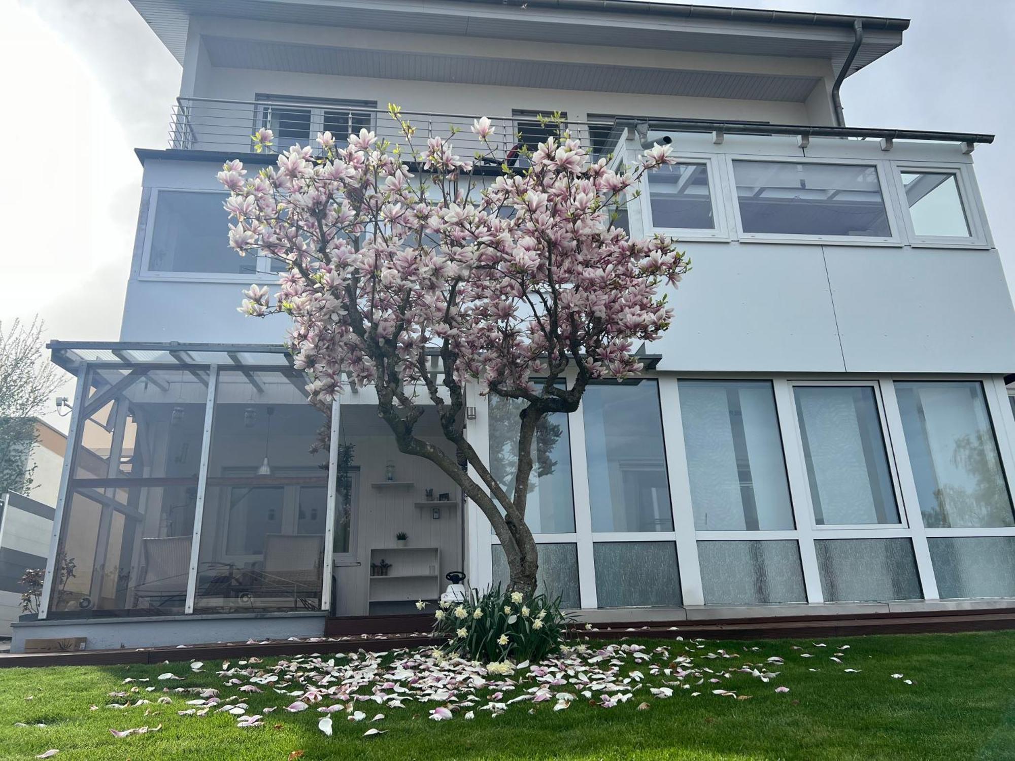 Ferienwohnung Schwarzwald Lodge Schoemberg  Exterior photo